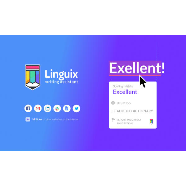 Linguix Pro Unlimited Plan Lifetime